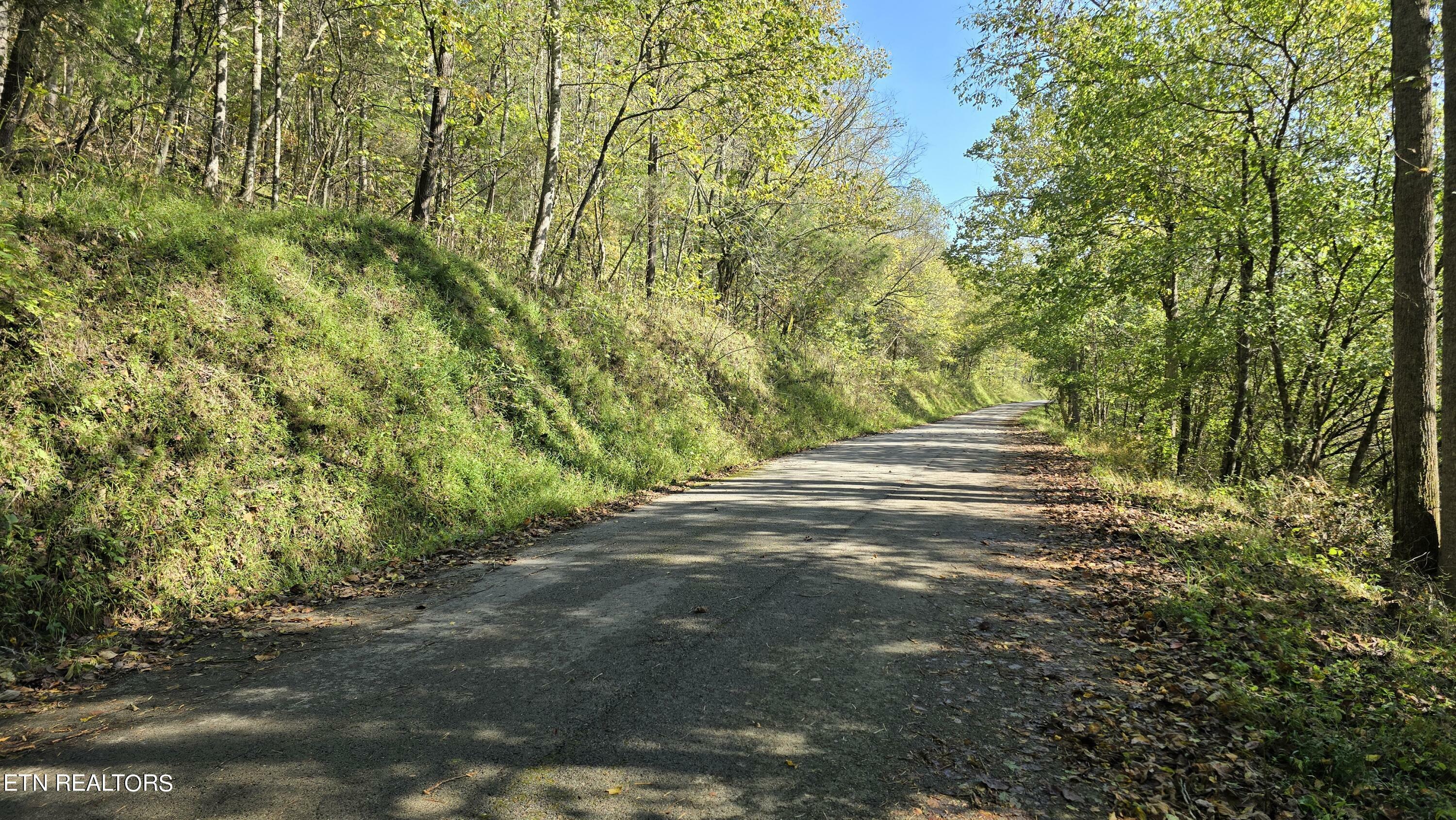 Tbd Lower Wallens Creek Rd  Jonesville VA 24263 photo