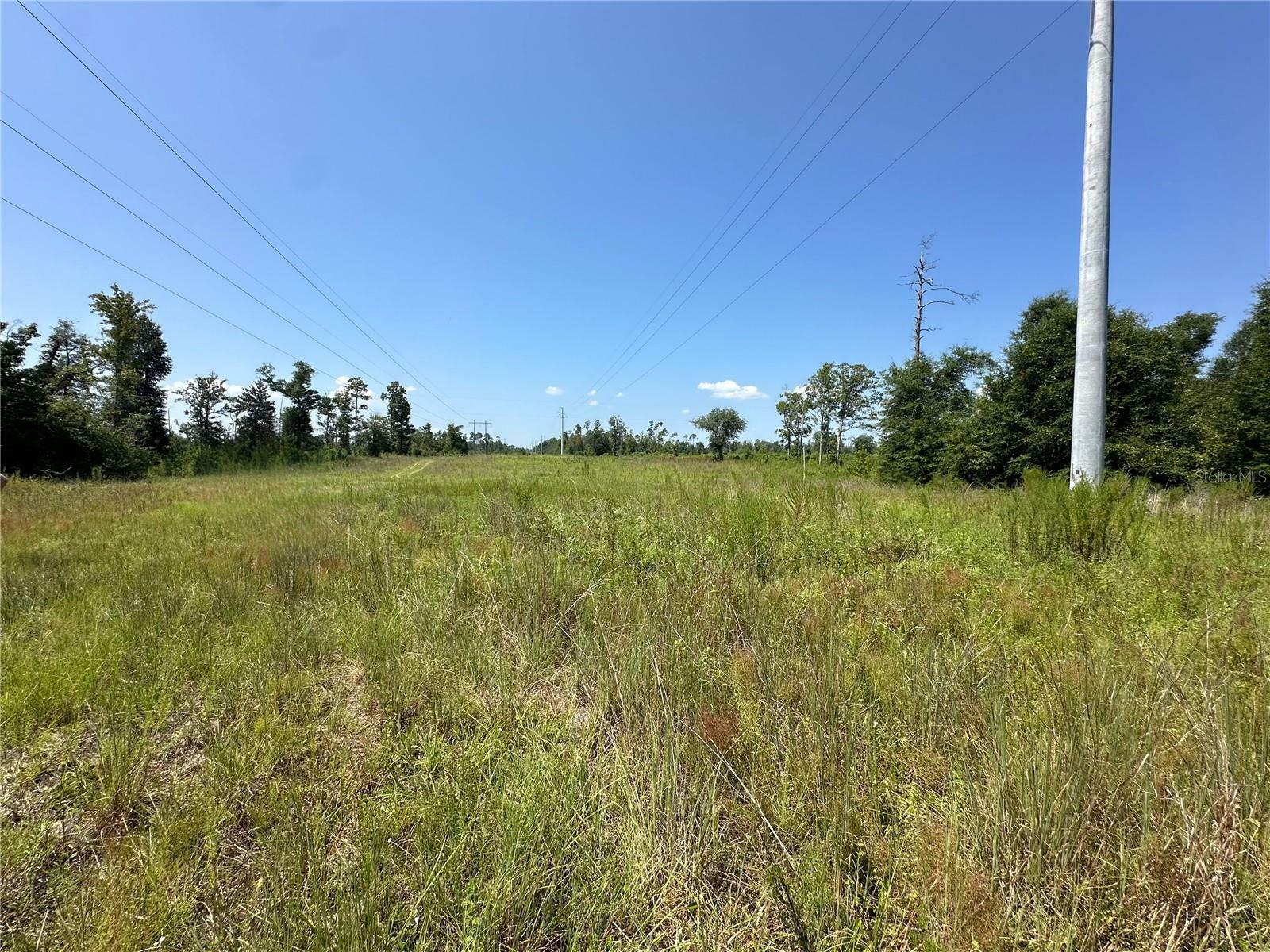 Property Photo:  NW Bailey Cemetary Road  FL 32421 