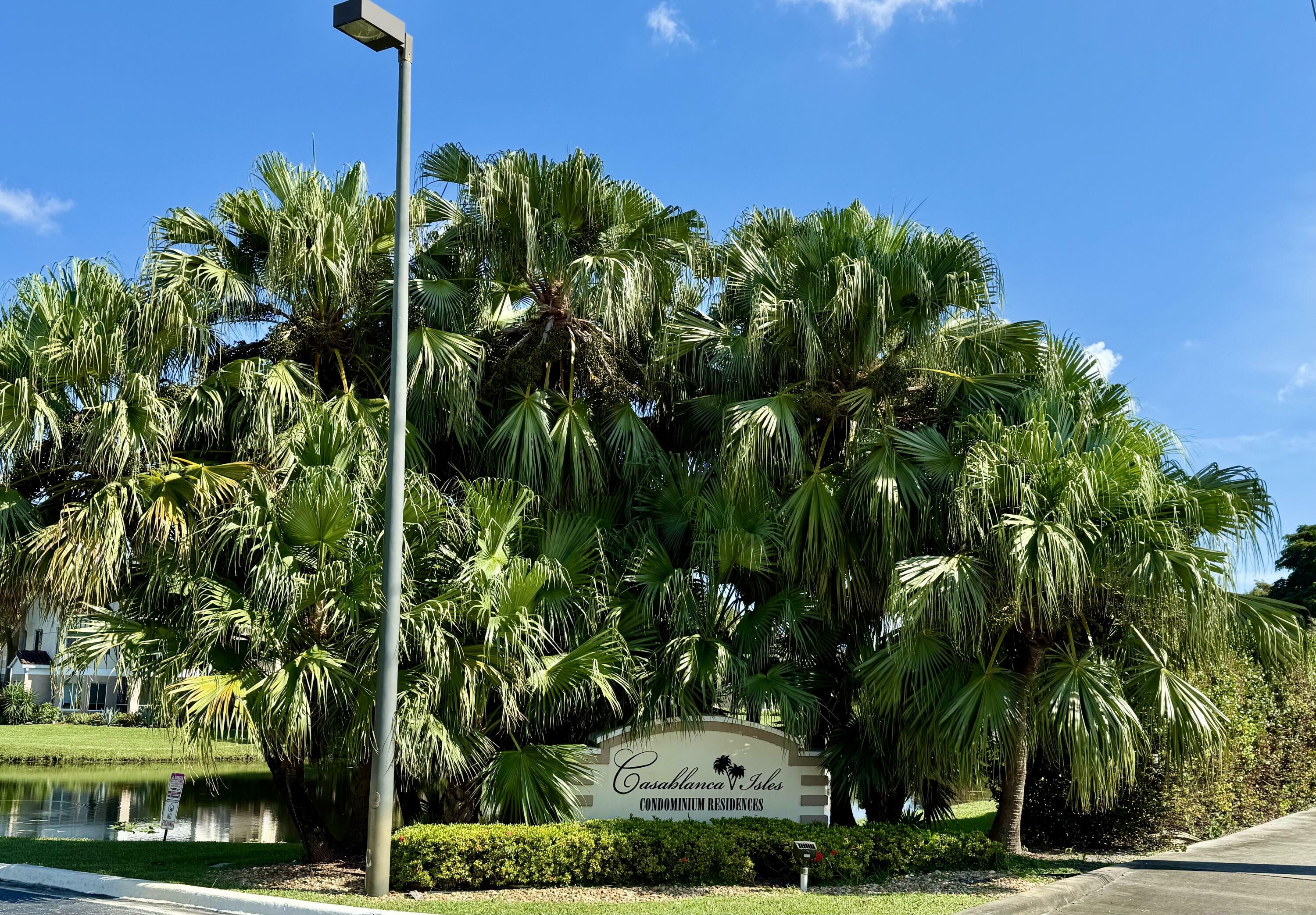 Property Photo:  815 W Boynton Beach Boulevard 11-205  FL 33426 