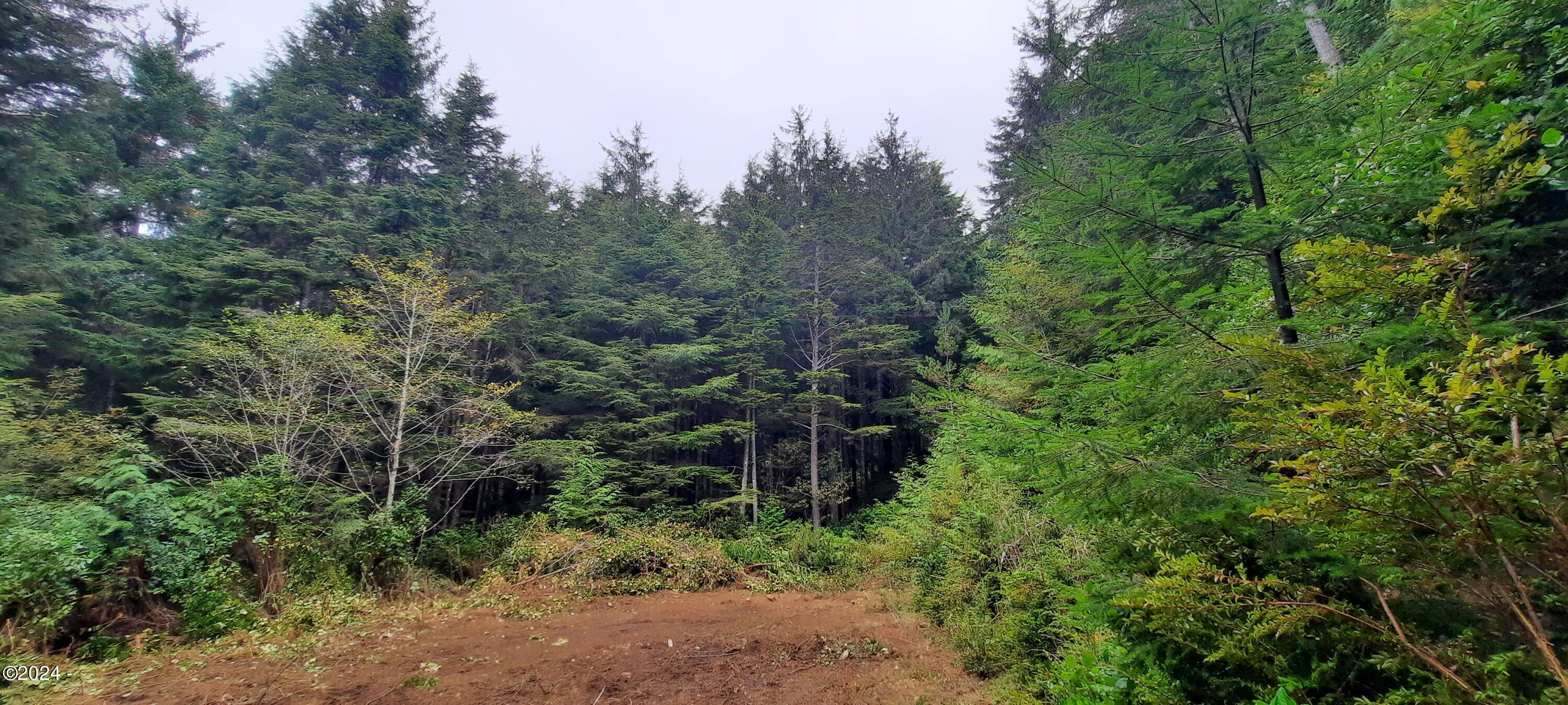 Property Photo: Tl2600 Newton Place OR 97394