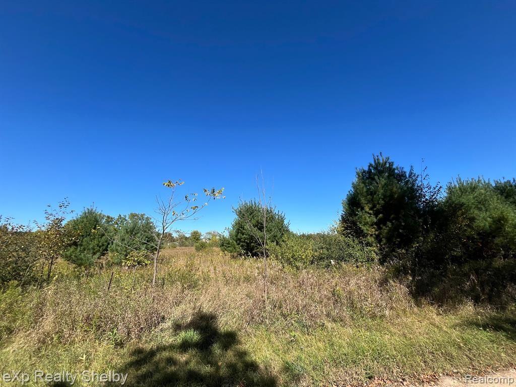 Property Photo: 12102 100th Avenue MI 49332