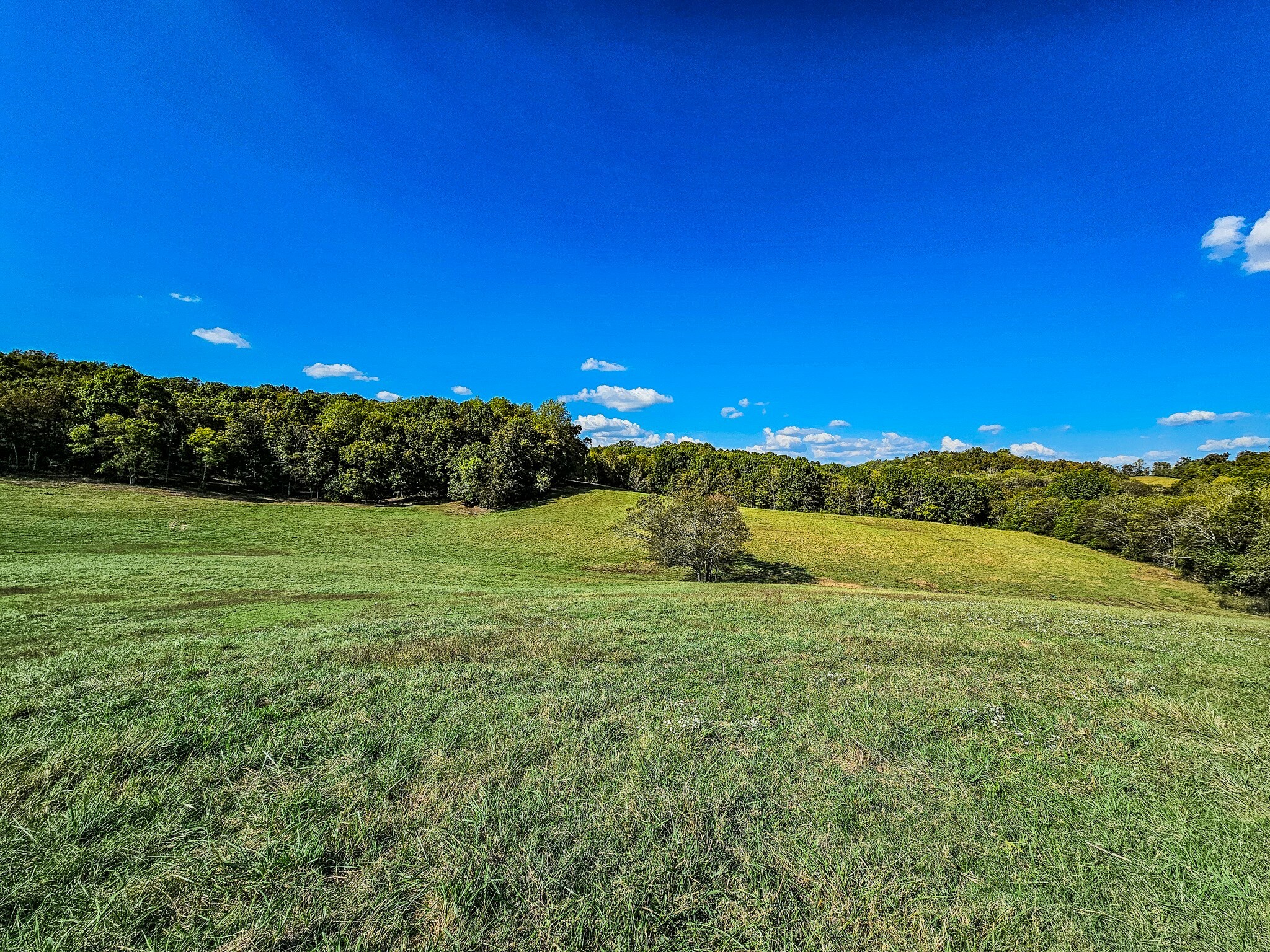 Property Photo:  0 Knob Creek  TN 37183 