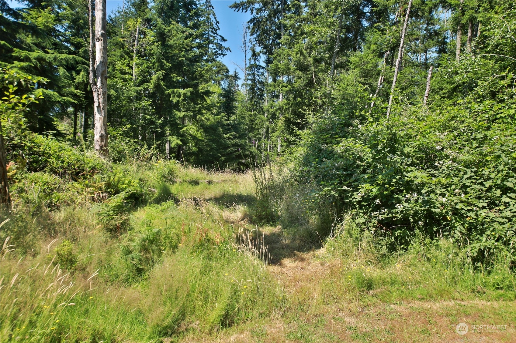 Property Photo:  0 Evergreen Lane  WA 98249 