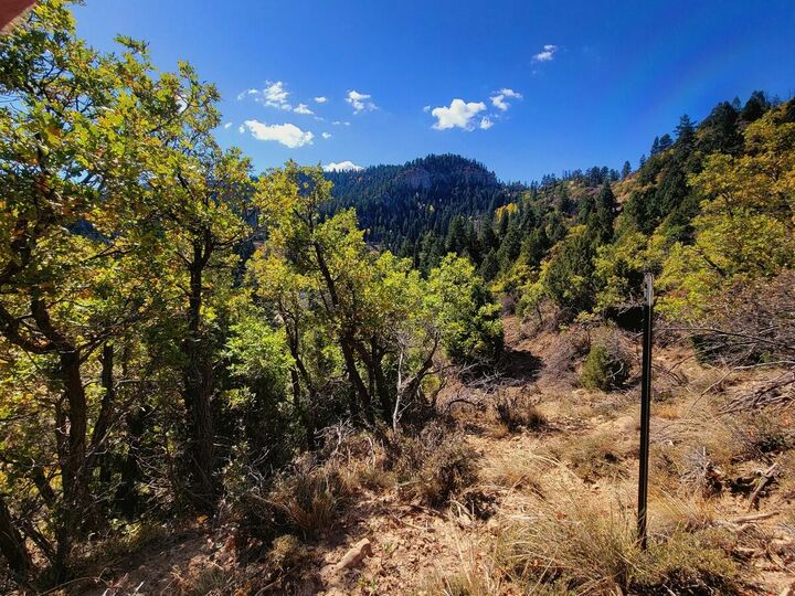 Property Photo:  Lot 22 Bonnie Green Dr  UT 84762