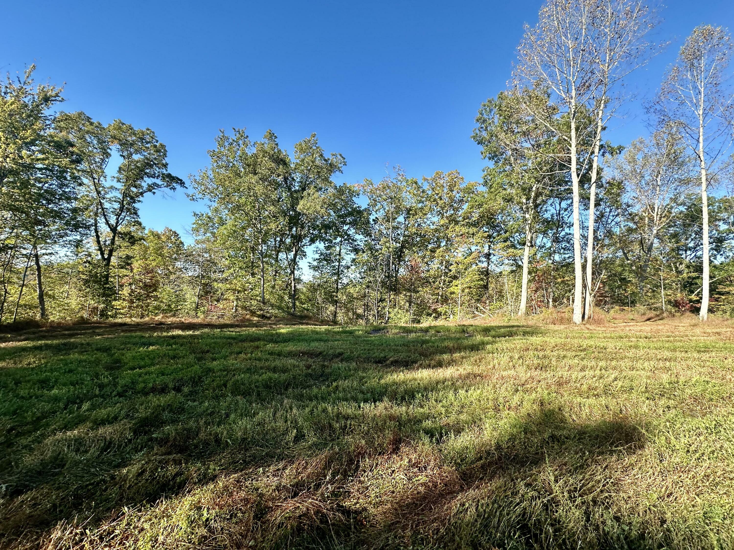 Property Photo:  424-D West 577 Highway Tract 6  KY 40962 