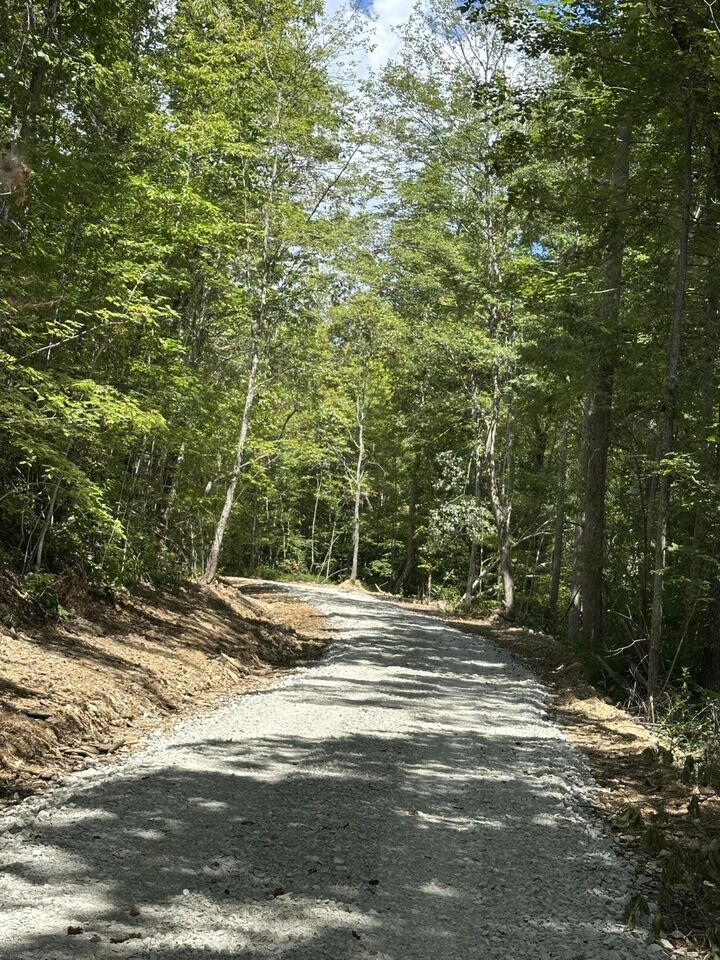 Property Photo: 424-Tract 6 W 577 Highway Tract 6 KY 40962