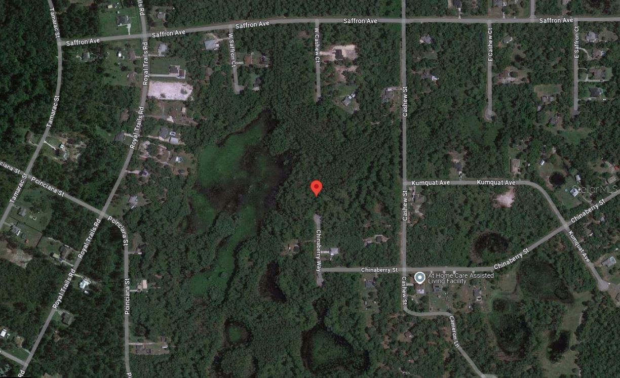 Property Photo:  Tbd Chinaberry Way  FL 32736 