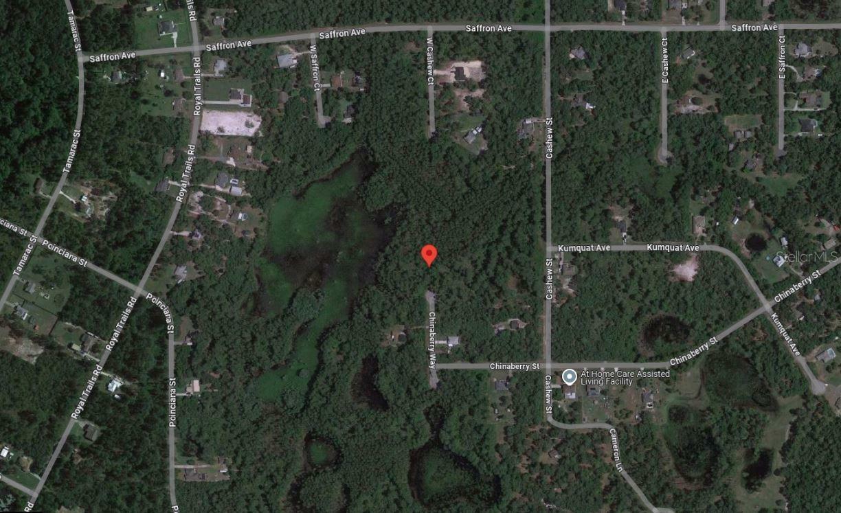 Property Photo: Tbd Chinaberry Way FL 32736