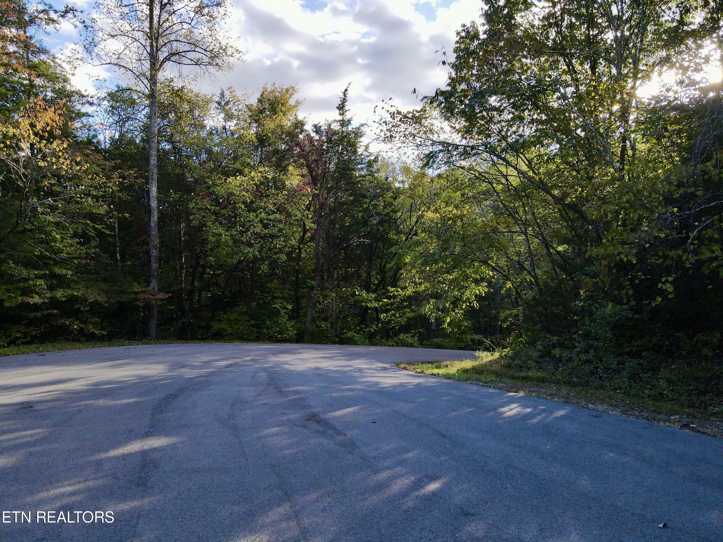 Property Photo:  Lot 18 Heatley Ln  TN 37862 