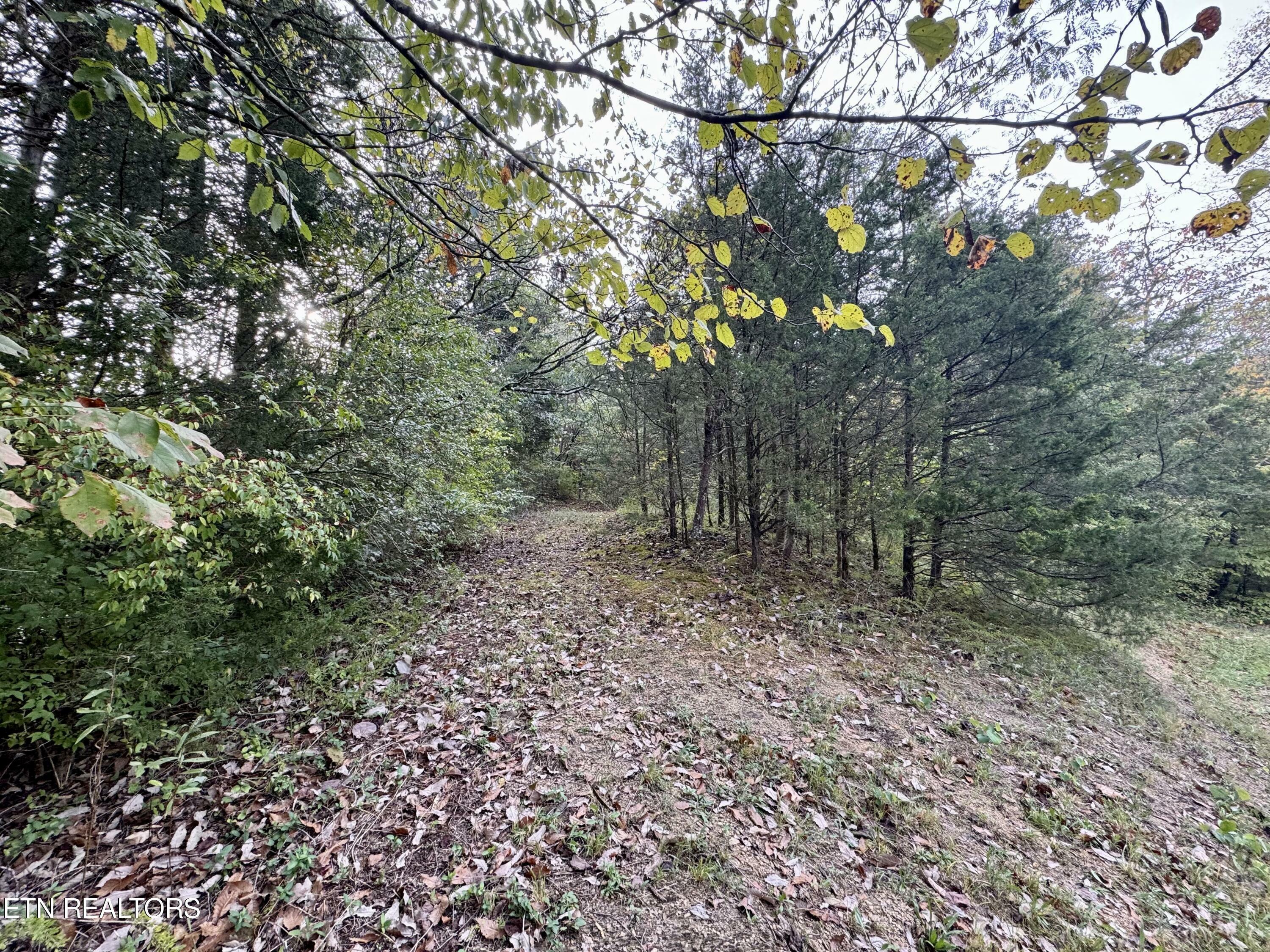 Property Photo:  Lot 18&19 Heatley Lane  TN 37862 