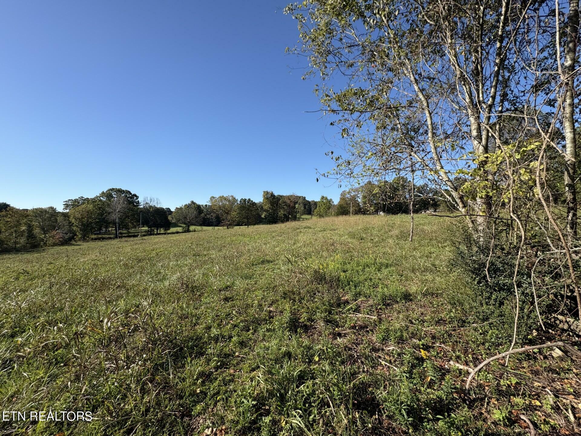 Property Photo:  166 Copenhaver Rd Rd  TN 37771 