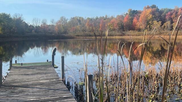 Property Photo:  10303 Belding Road NE  MI 49341 