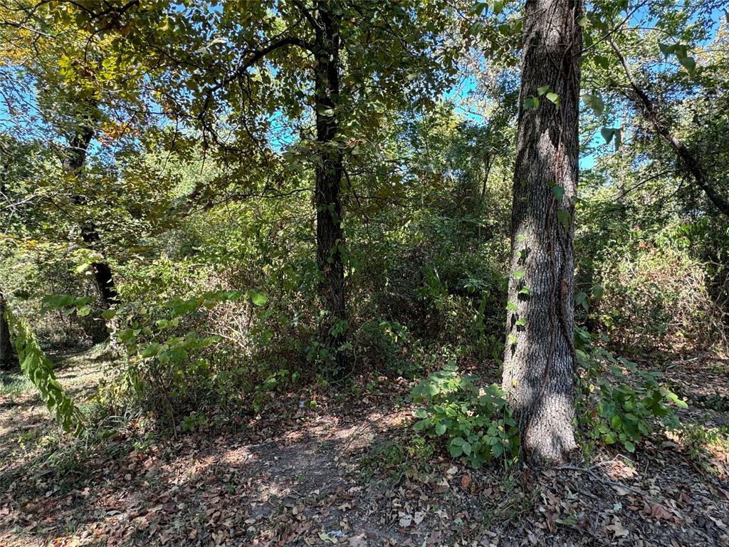 Property Photo:  190 Geronimo Trail  TX 75156 