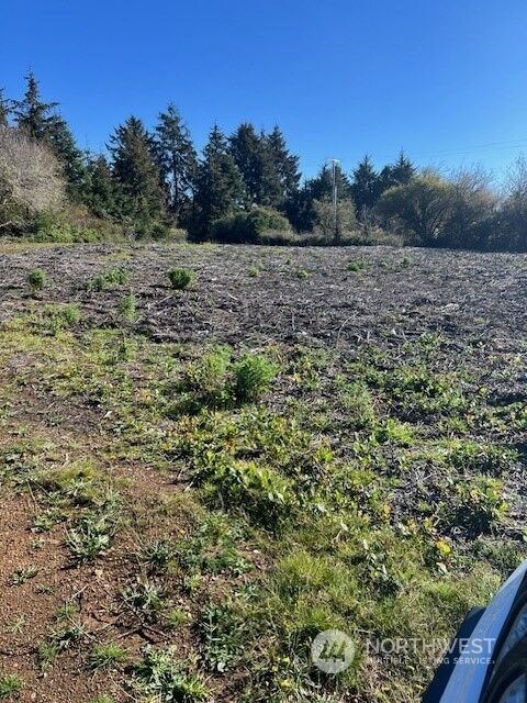 Property Photo: 498 Canal Drive SE WA 98569