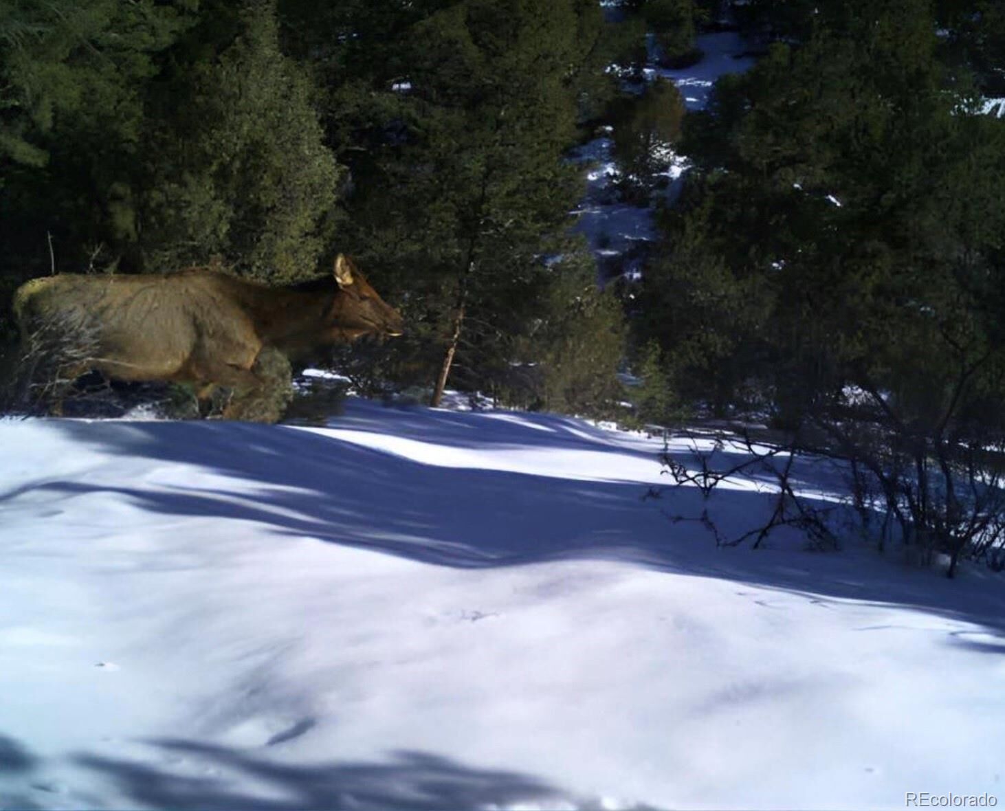 Property Photo:  22738 County Road M.5  CO 81152 