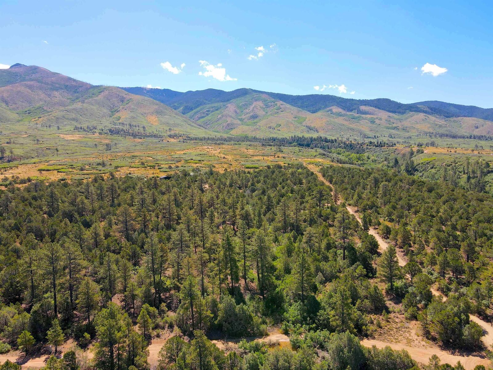 Property Photo: Tract C Forest Road 493 NM 87556