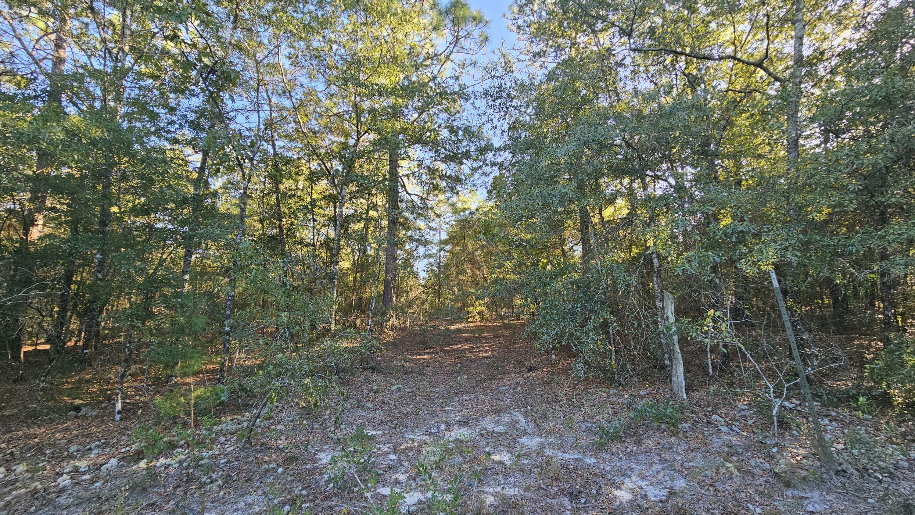 Tba Mosley Road  Defuniak Springs FL 32433 photo