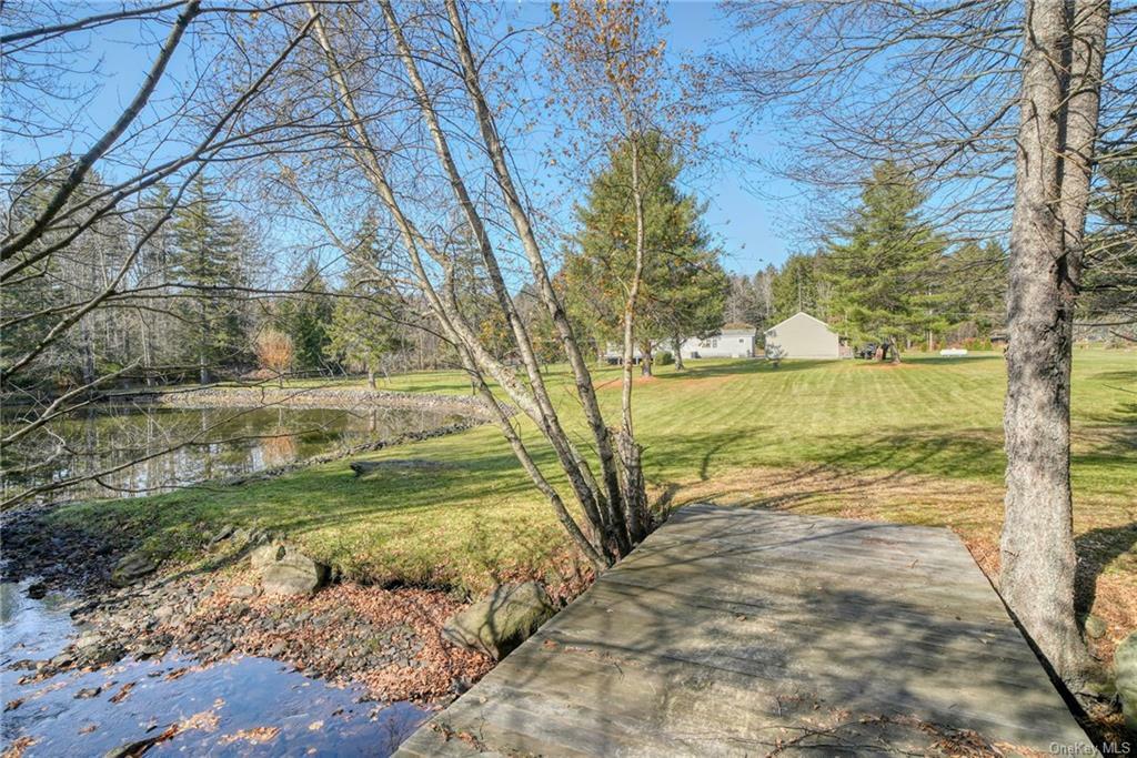 Property Photo:  698 Cooley  NY 12768 