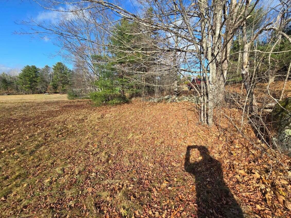 Property Photo:  Map2lot17b Goulds Ridge Road  ME 04475 