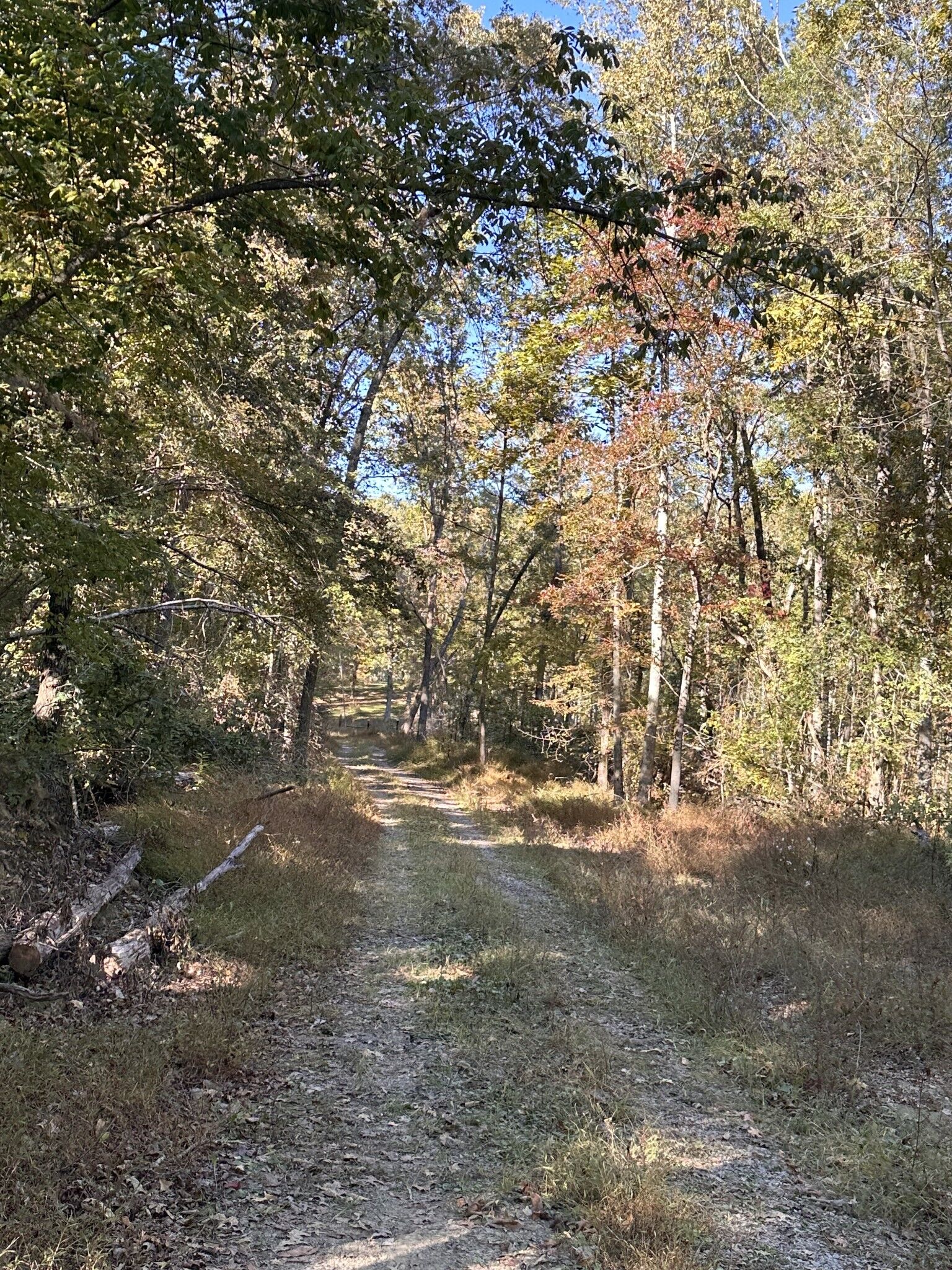 Property Photo:  881 Floyd Rd  TN 37355 
