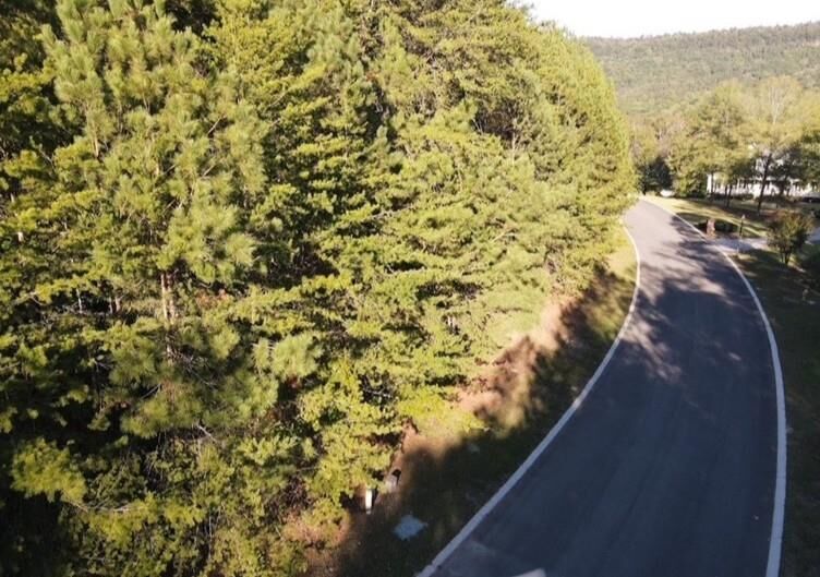 Property Photo: Lot 6 Eden Park Drive GA 30740