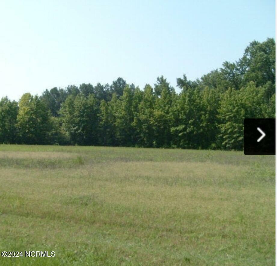 Property Photo:  0 Nicodemus Mile Road  NC 27804 