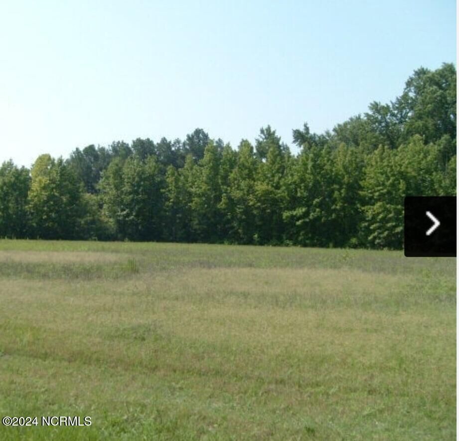 Property Photo:  0 Nicodemus Mile Road  NC 27804