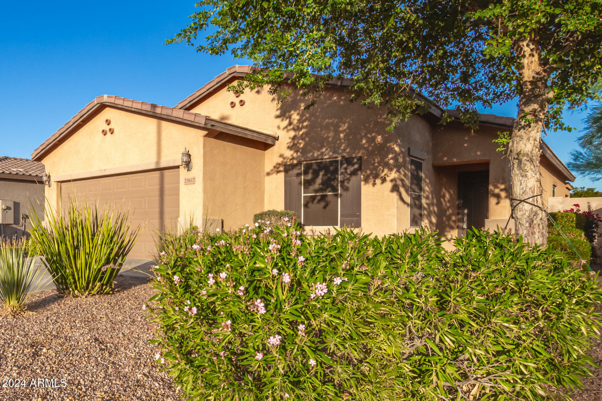 Property Photo:  25617 N 107th Glen  AZ 85383 