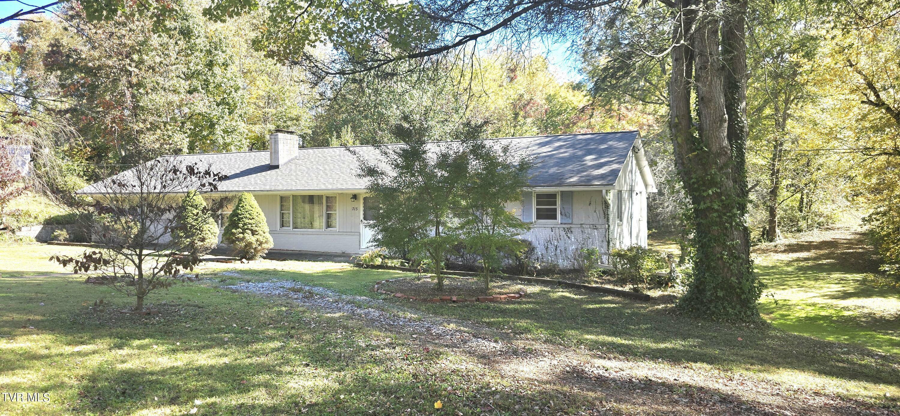 Property Photo:  713 Woodhaven Drive  TN 37604 