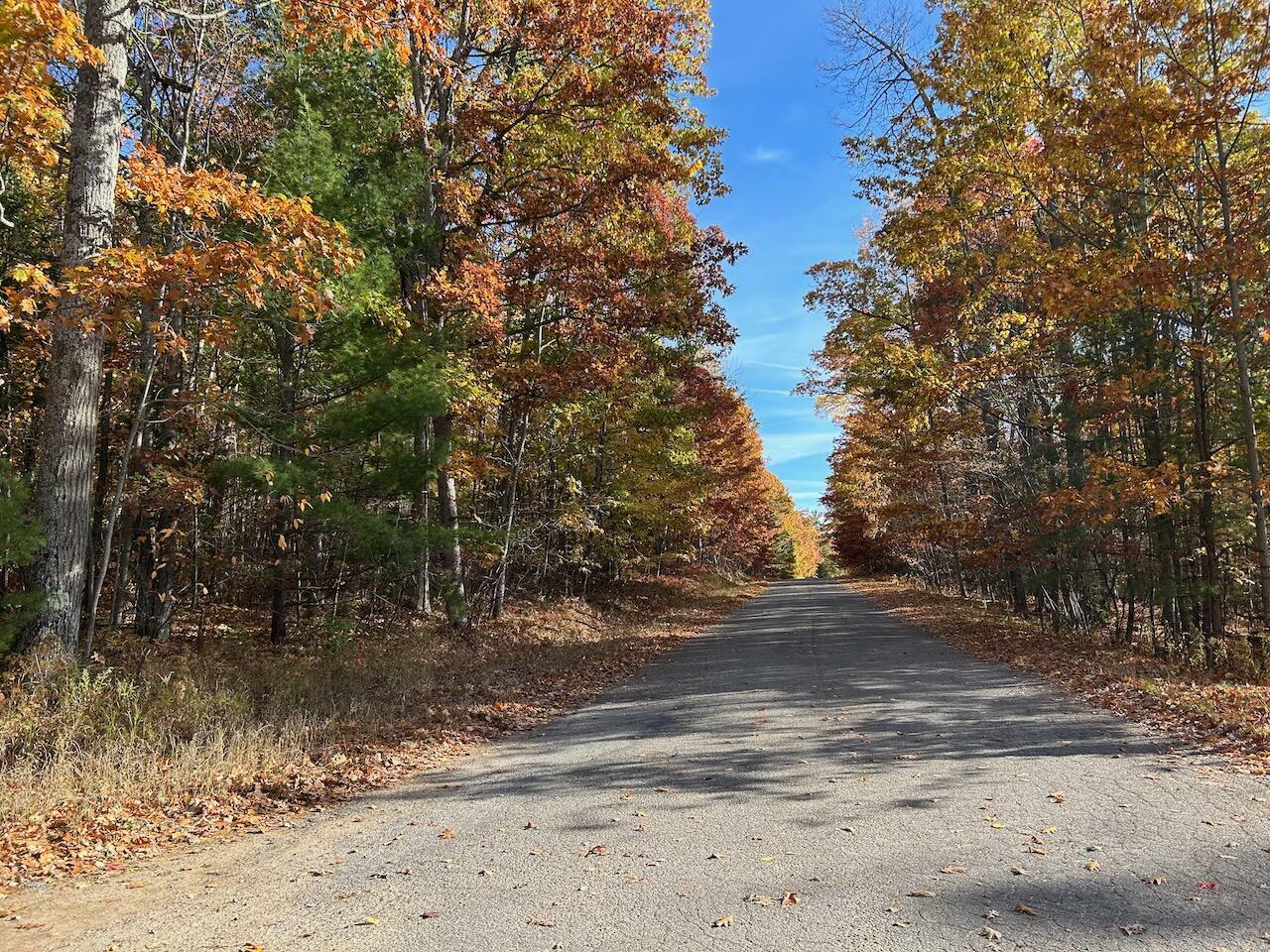 Property Photo:  1385 Shawnee Drive  MI 49749 