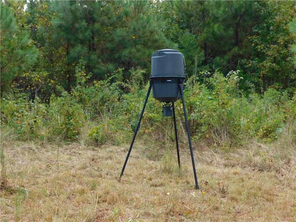 Property Photo: 0 Texas Chapel Road GA 31024