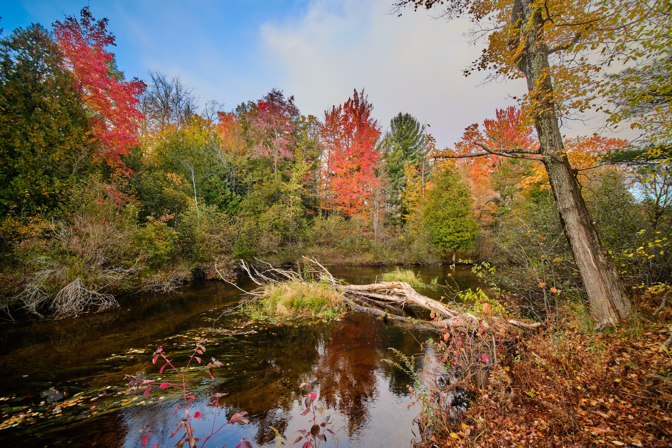 Property Photo:  15049 Healy Lake Road  MI 49614 