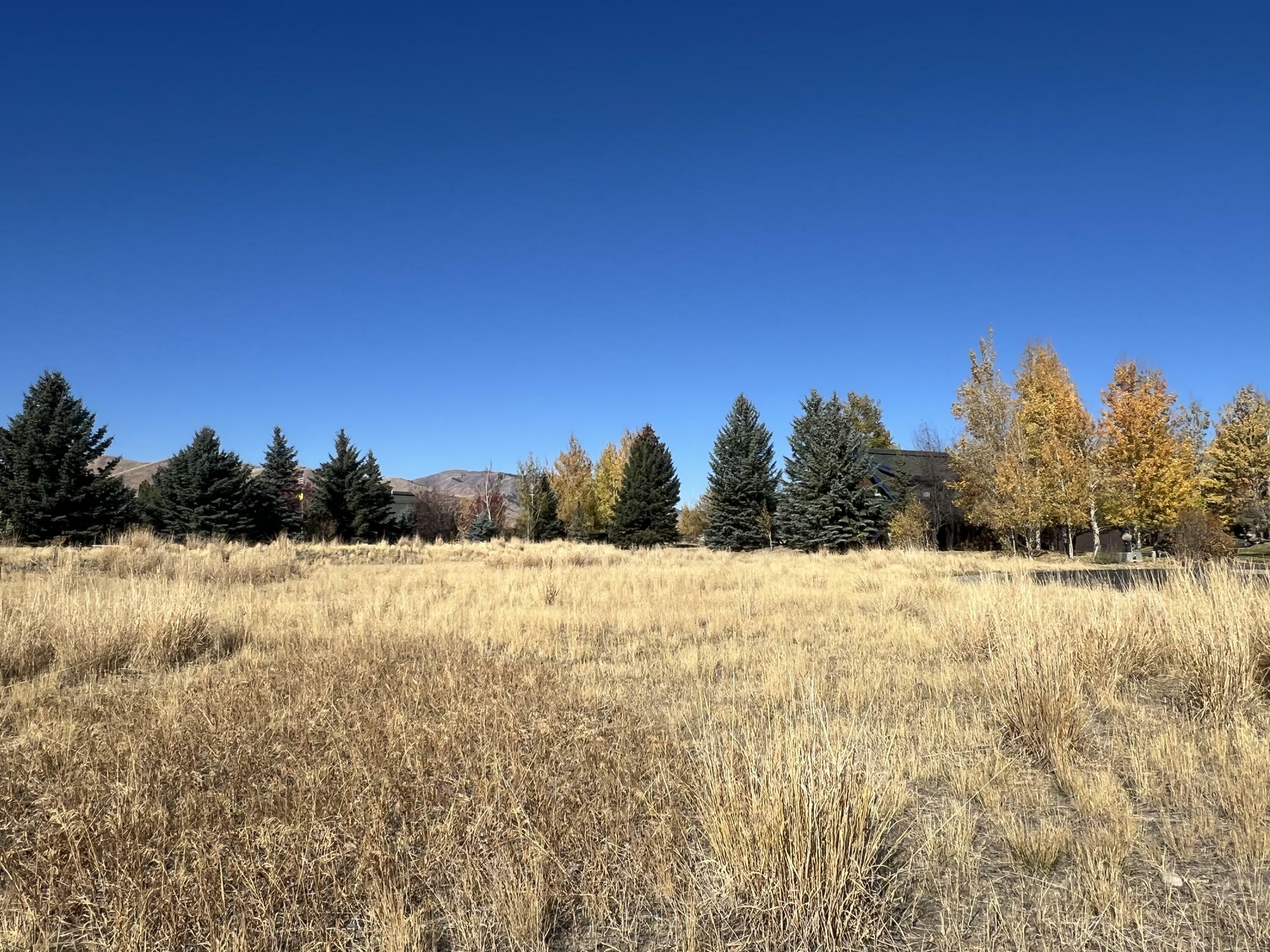 Property Photo:  190 Cloverly Lane  ID 83333 