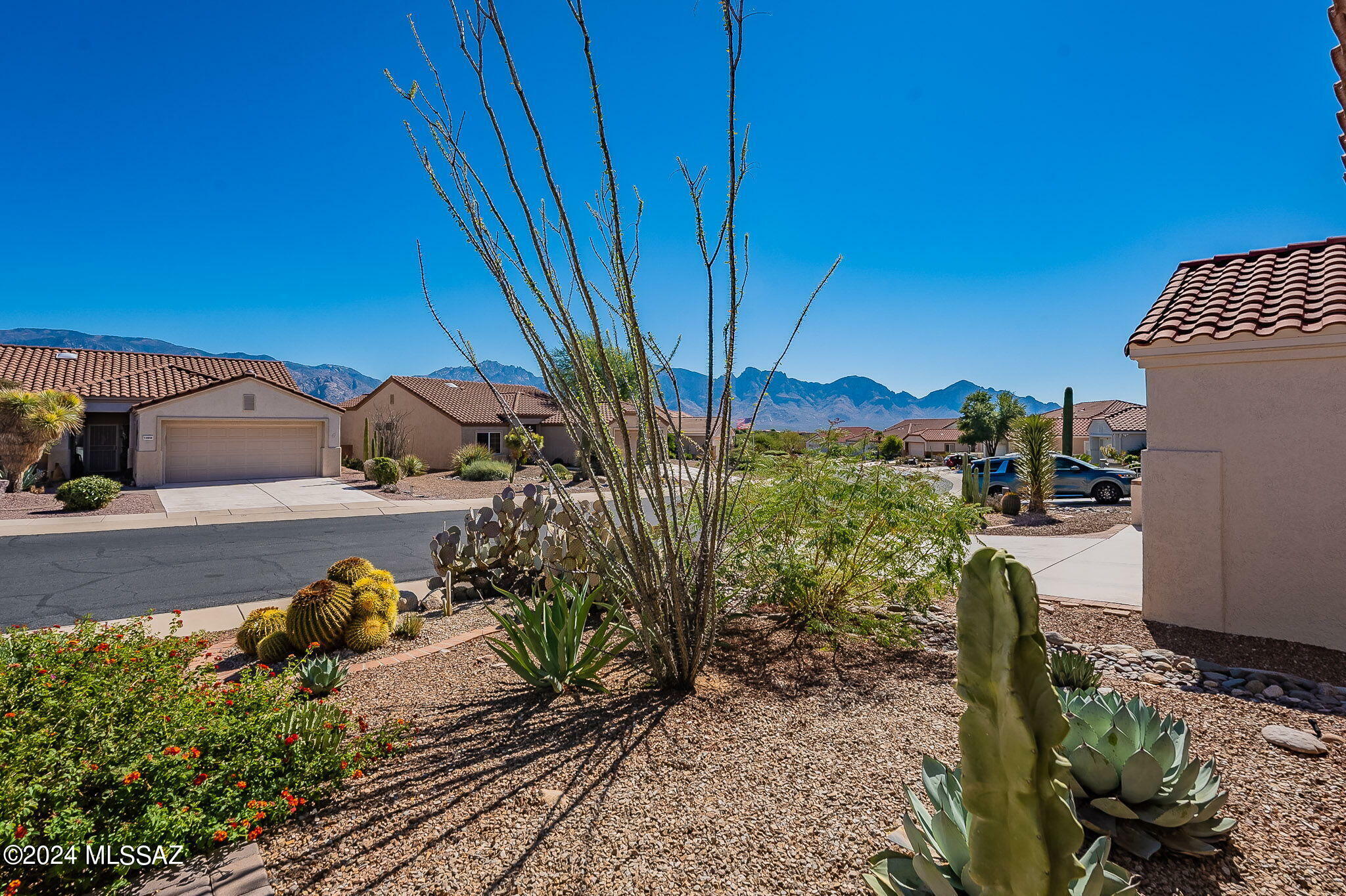 Property Photo: 13965 N Willow Bend Drive AZ 85755