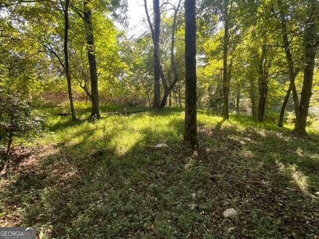 Property Photo:  Lot 5 Clear Creek Preserve Way  GA 30536 