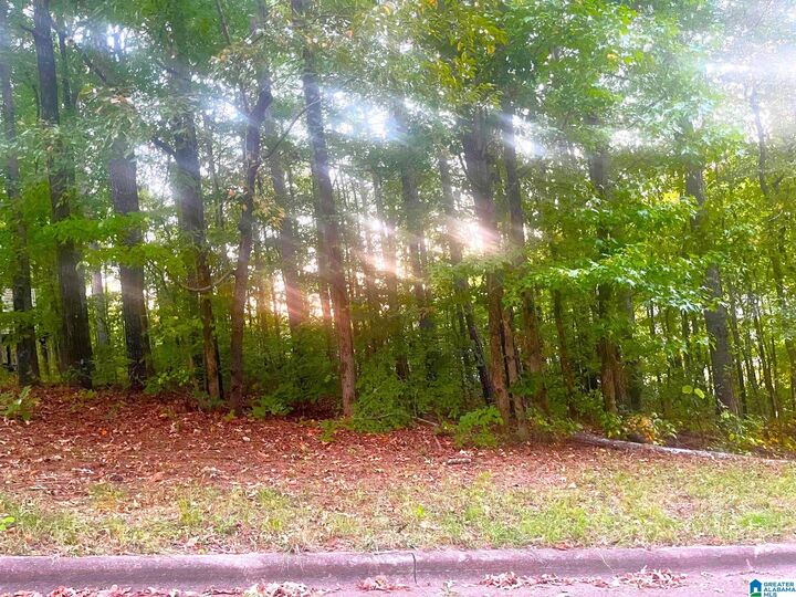Property Photo: 6760 Old Springville Road 1 AL 35126
