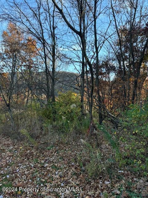 Lot 37 N Skyline Drive  South Abington Twp PA 18411 photo