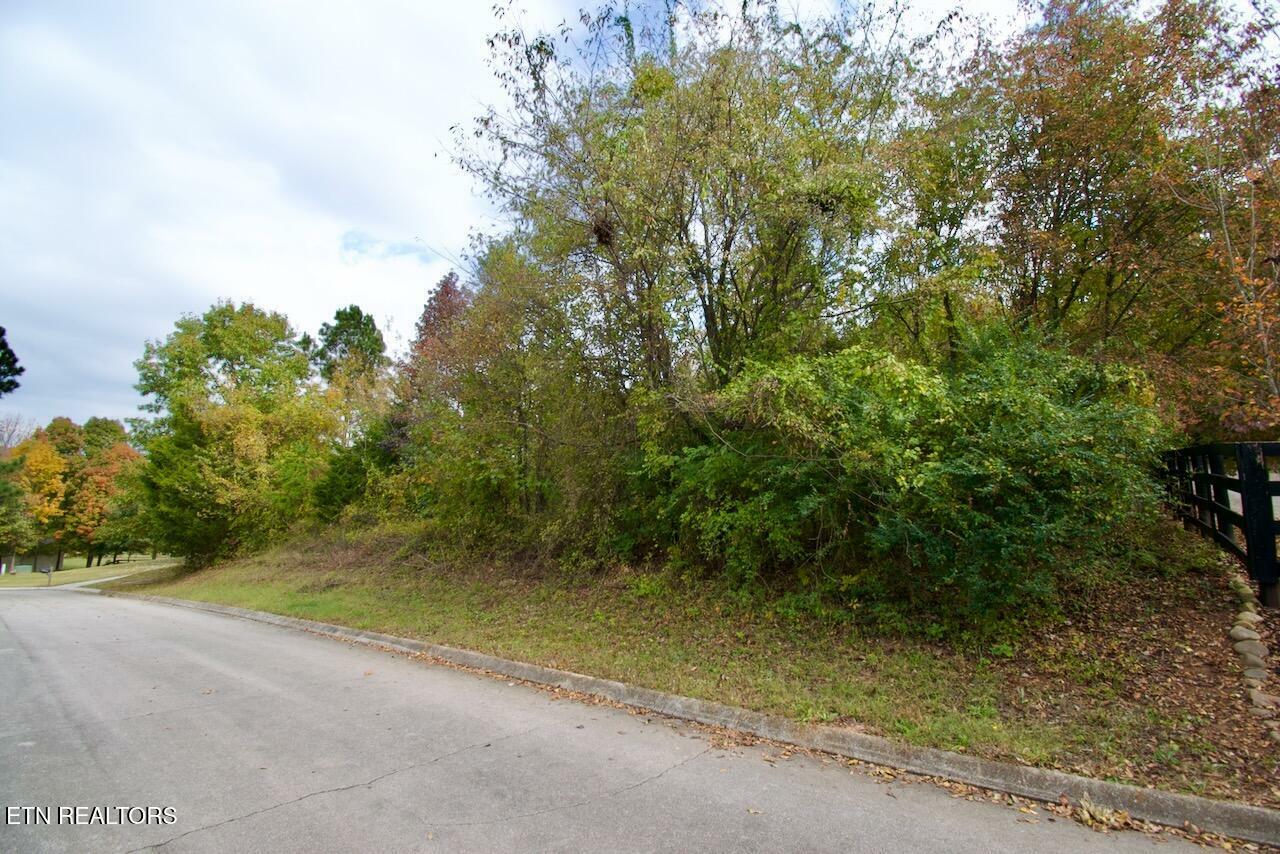 Property Photo:  Lot 8 Colonial Harbor Drive  TN 37777 