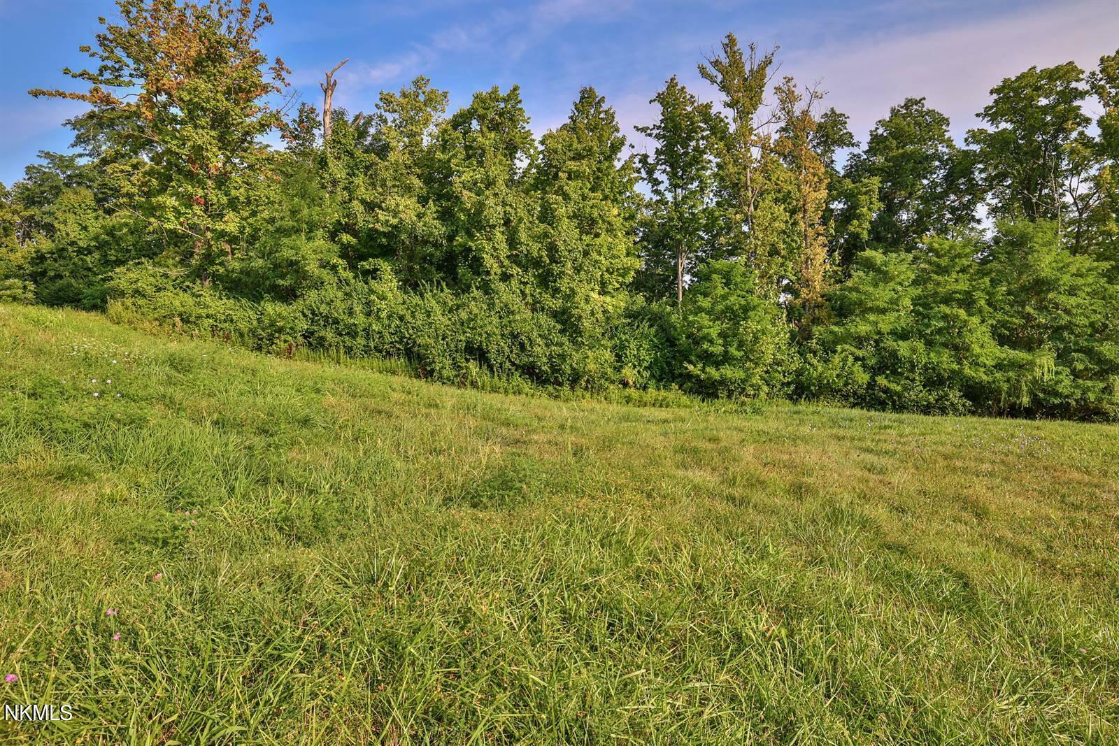 Property Photo:  2421 Felice Drive  KY 41017 