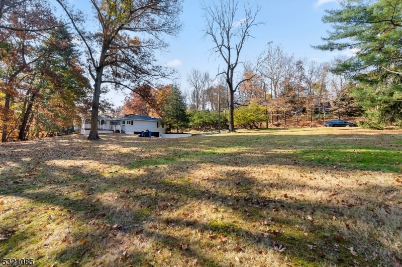 Property Photo:  234 Deer Haven Rd  NJ 07921 