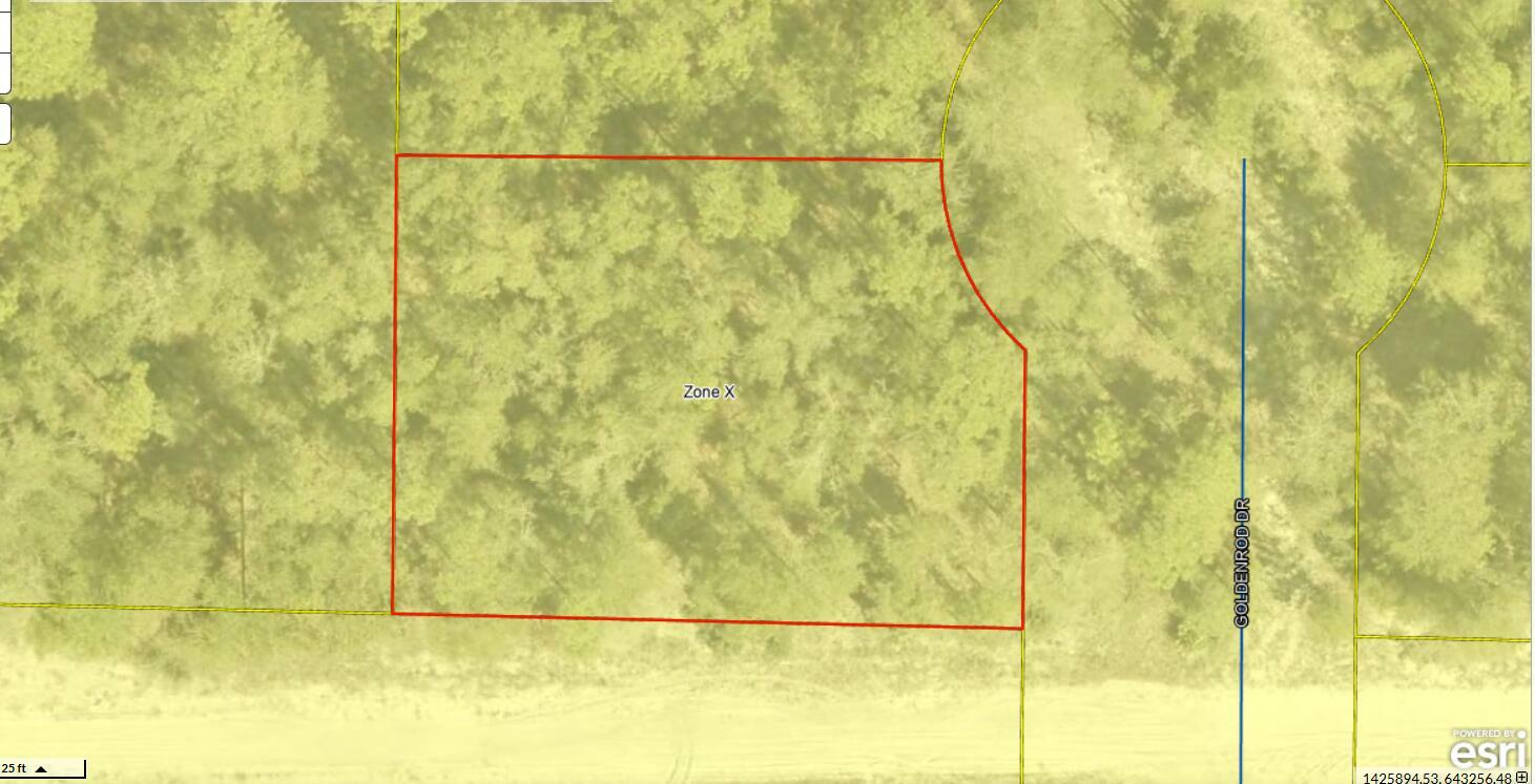 Property Photo:  Lot 1 Blk 10 Golden Rod Drive  FL 32433 