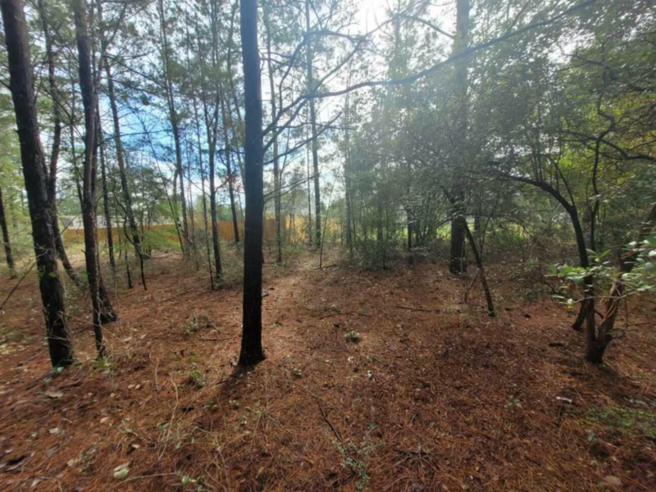 Lot 4 Blk 6 E. Violet Lane  Defuniak Springs FL 32433 photo