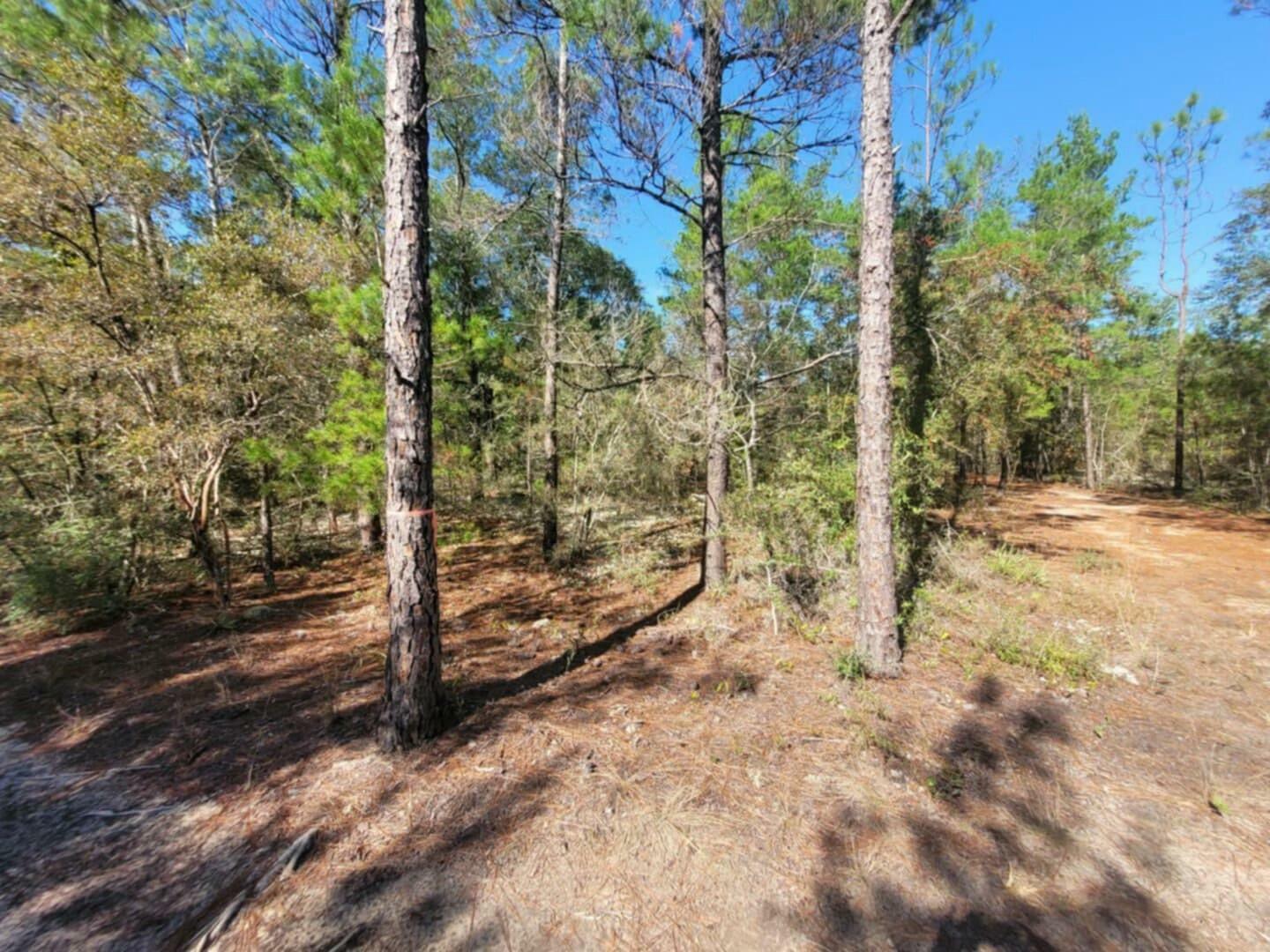 Lot 2 Blk 5 Red Mulberry Lane  Defuniak Springs FL 32433 photo