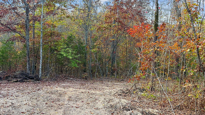 Property Photo: 598 Myers Rd TN 37763