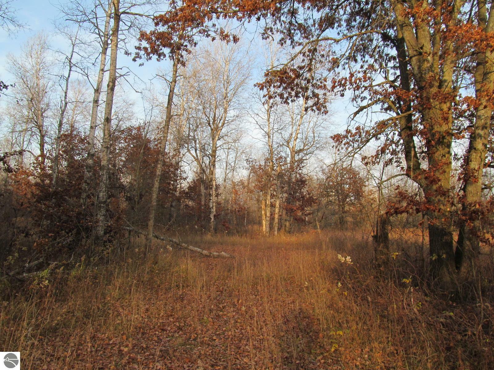 Property Photo:  '0' W Stockwell  MI 49665 