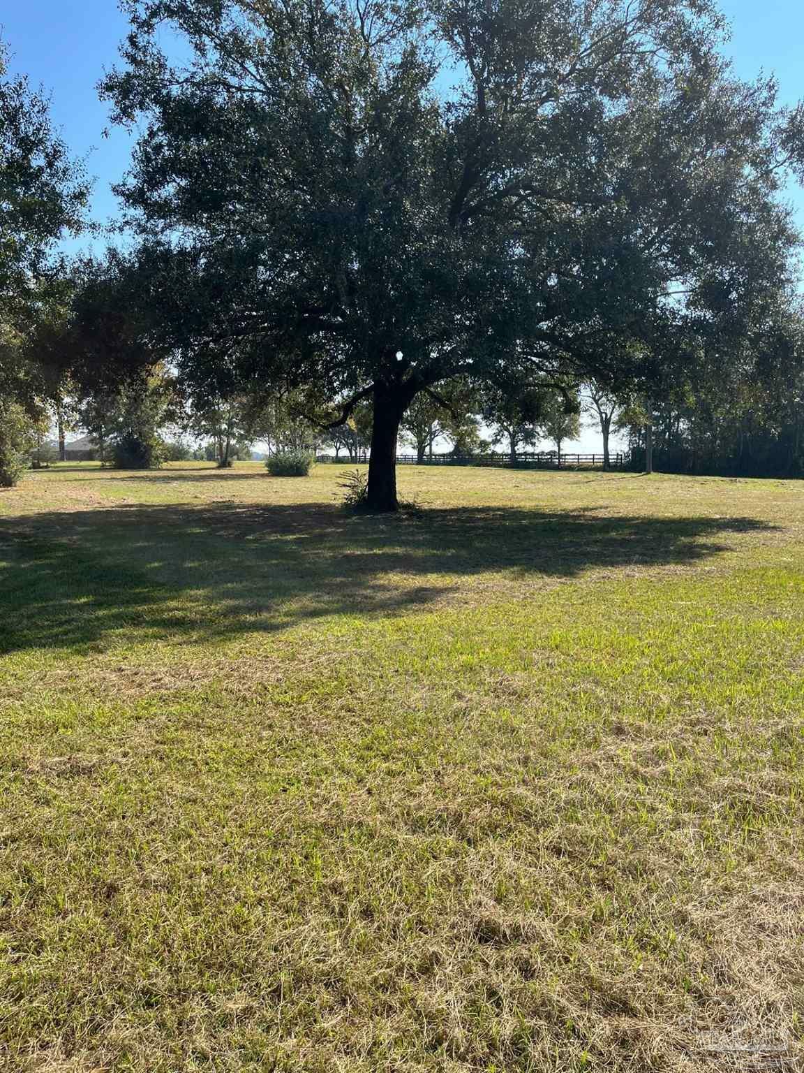 Property Photo:  5950 Frank Reeder Rd  FL 32526 