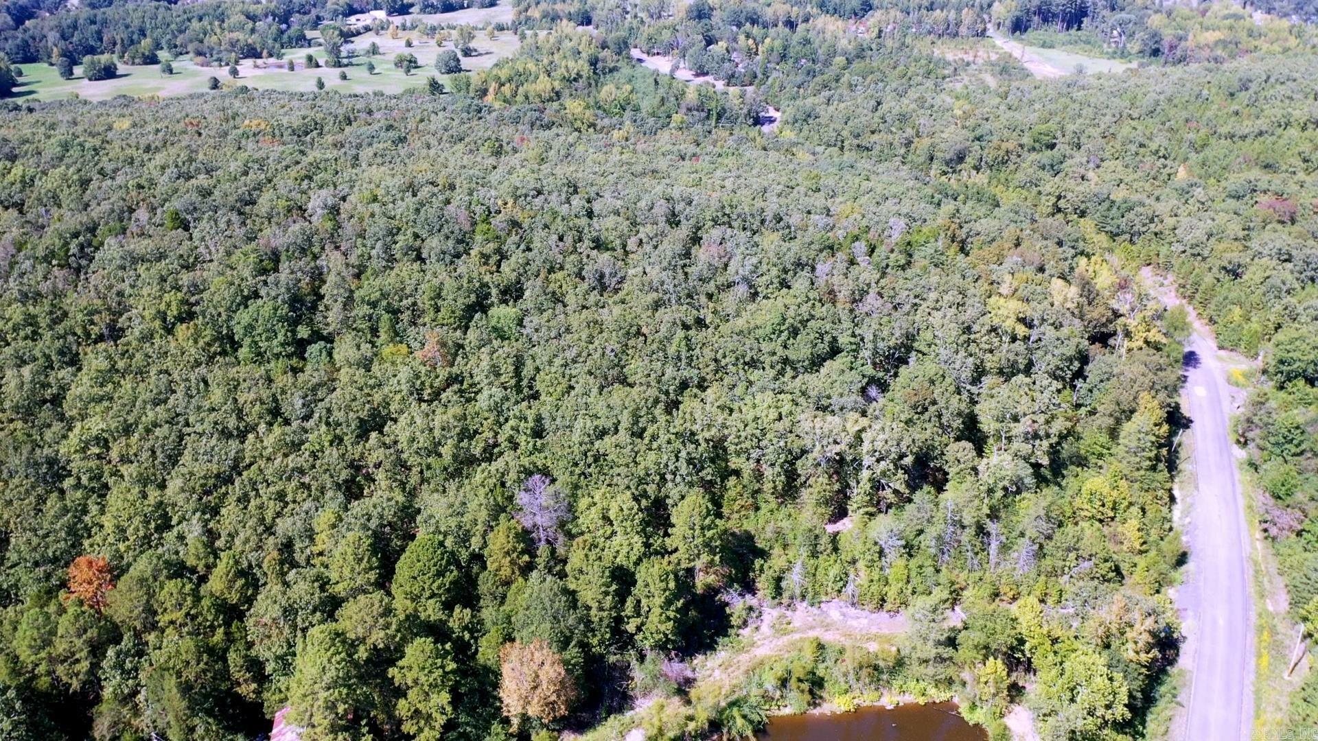 Property Photo:  000 Goldmine Springs Road  AR 72032 