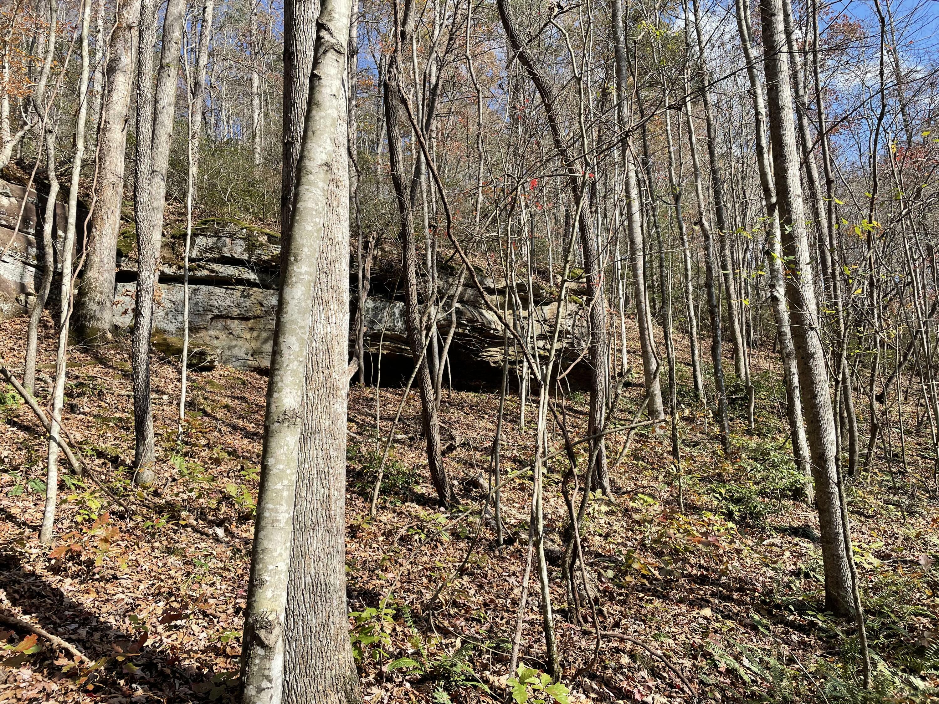 Property Photo:  3015 Poplarville Road  KY 42501 