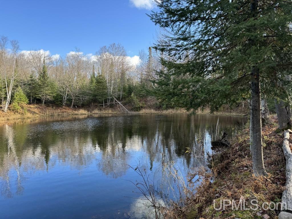 Property Photo:  14598 Arnheim Road  MI 49958 