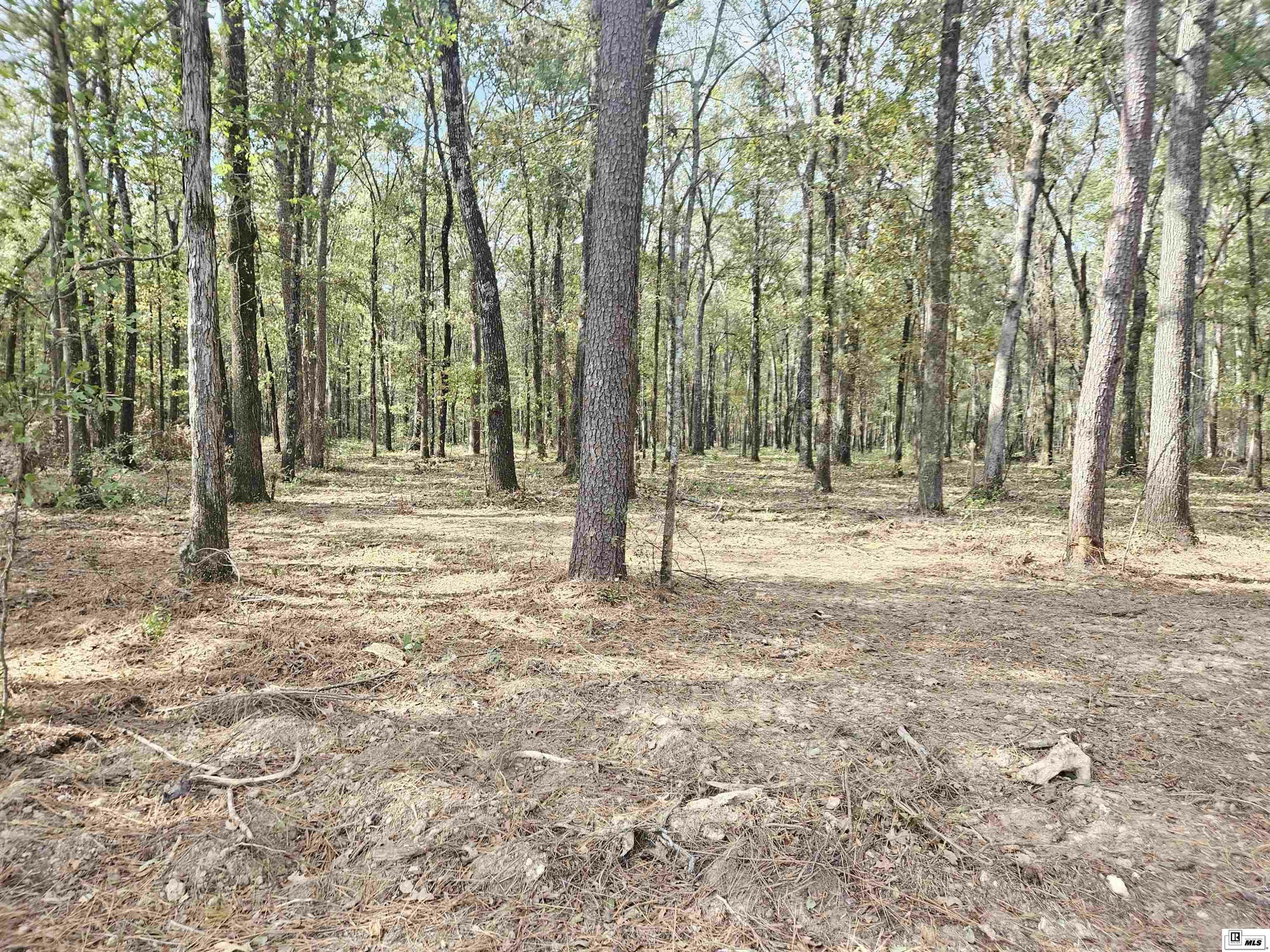 Property Photo:  Lot 3 Hudson Drive  LA 71203 